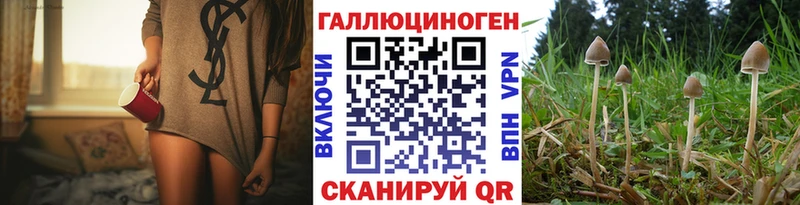 что такое МЕГА ссылка Галлюциногенные грибы GOLDEN TEACHER Данилов
