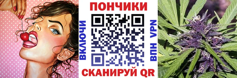 Шишки марихуана ГИДРОПОН Данилов